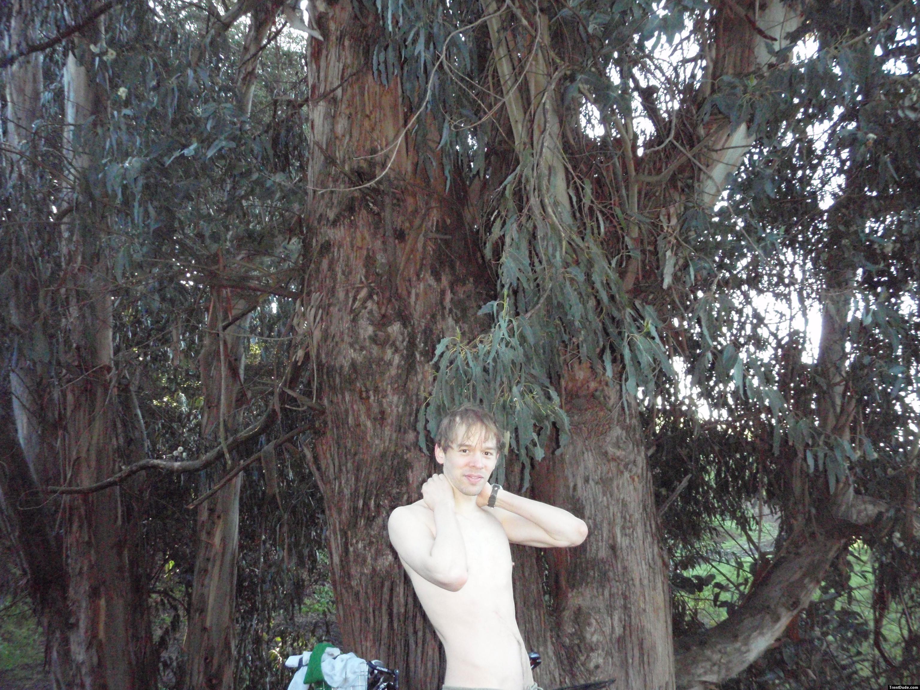 shirtless near a large tree