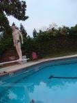 on the diving board in a GREEN MOOD SWIMSUIT from Ami Sanzuri