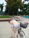checking the bike