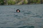 !Trent swimming in a quarry.  Austin, Texas