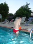 rear, red speedo with white speedo undernearth