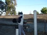 Sweats at the park (face wrapped in a scarf and hat)
