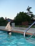 Black speedo at the swimming pool