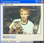 Giants shirt abd cat