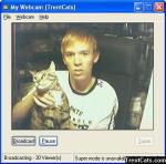 holding cat