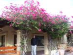 Trent with flowers