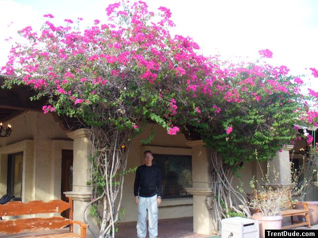 Trent with flowers