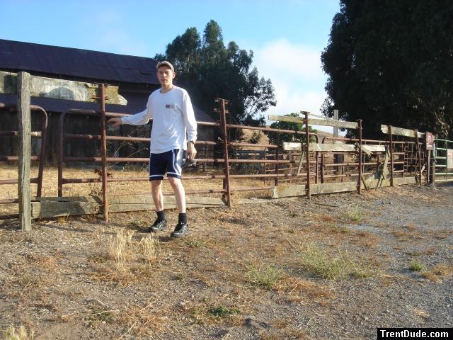 Going to get the horses