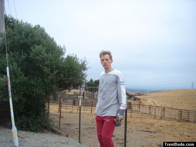 Exhausted on the farm