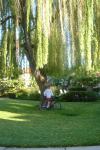 Stopping under a weeping willow tree for a photo
