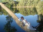 Trent on a tree
