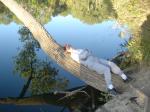 Trent on a tree