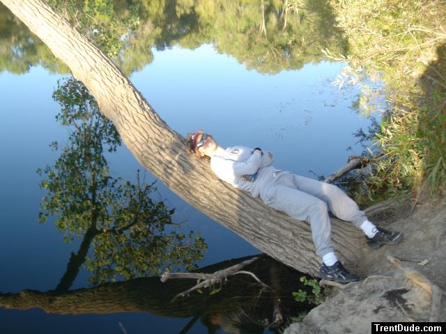 Trent on a tree