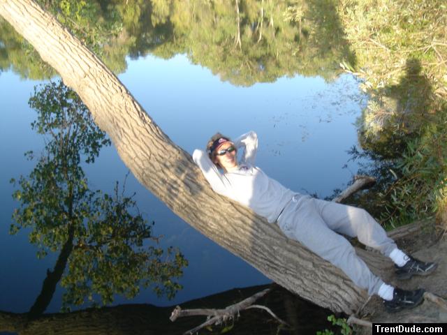 Trent on a tree