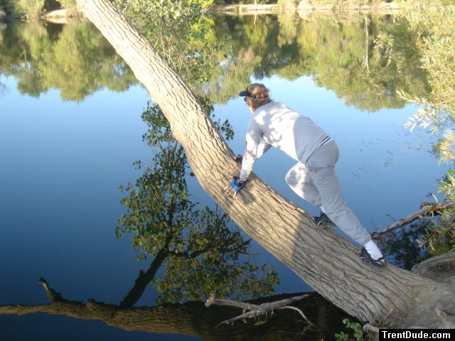 Trent on a tree