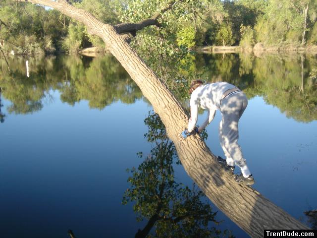 Trent on a tree
