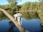Trent on a tree