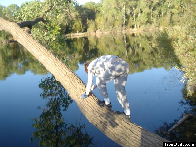 Trent on a tree