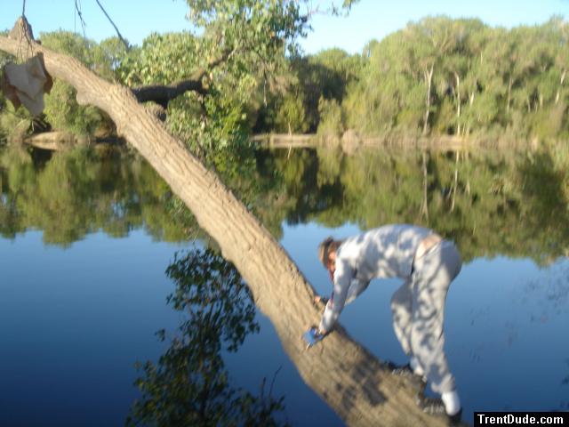 Trent on a tree