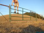Climbing on a fence in Tommy Hilfiger action brief underwear