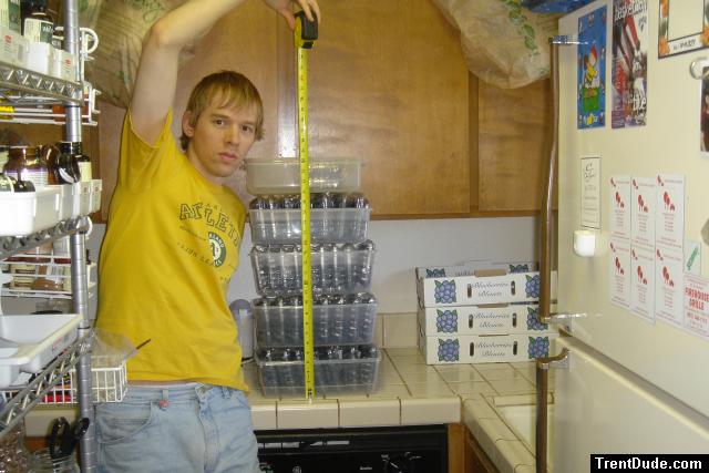 Two feet of blueberries (diet)