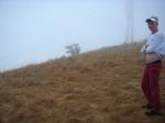 I think I will go climb the power lines and see what happens