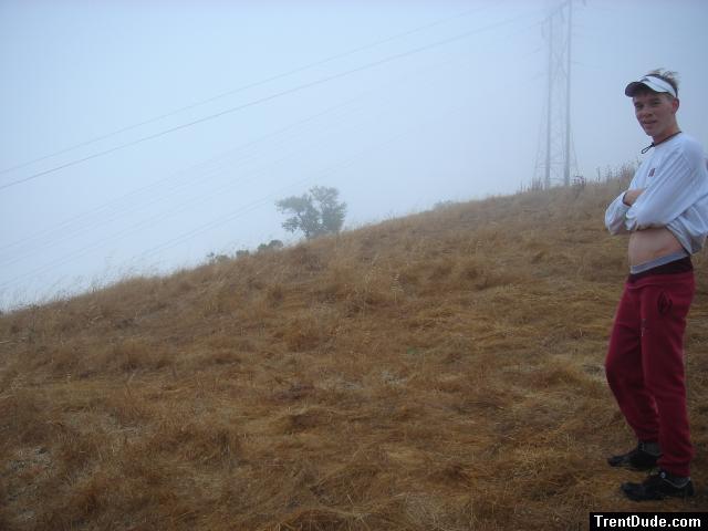 I think I will go climb the power lines and see what happens