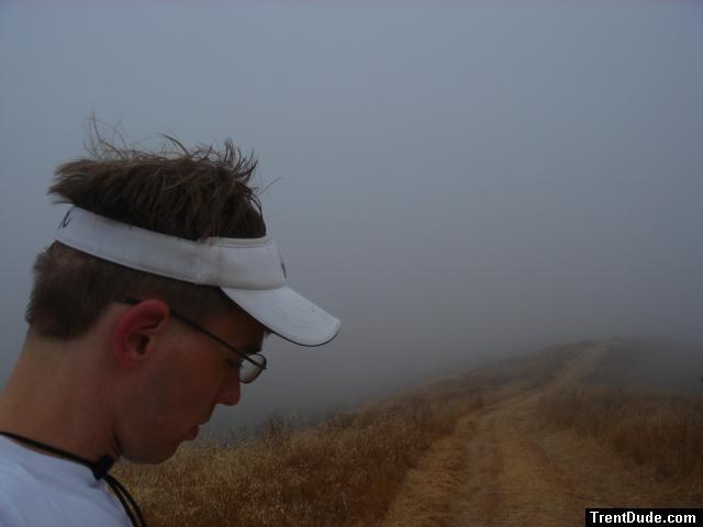 on the farm on a foggy day