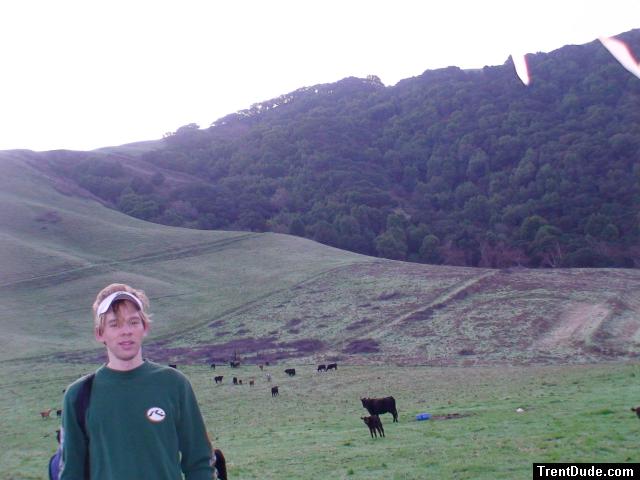 Cow field photo shoot (accompanied by a video and a non-censored version)