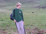 Counting the cows to make sure they're all there to watch