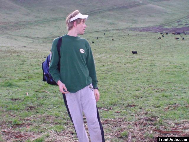 Counting the cows to make sure they're all there to watch