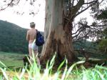 Wondering if the other farm hands saw me (butt)