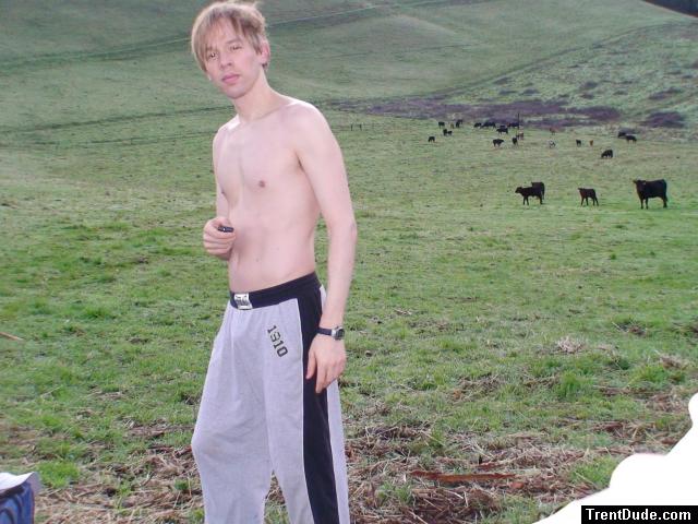 dude, the cow took my surfboard!