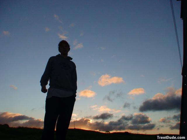 Trent silhouette a few mintues before sunrise