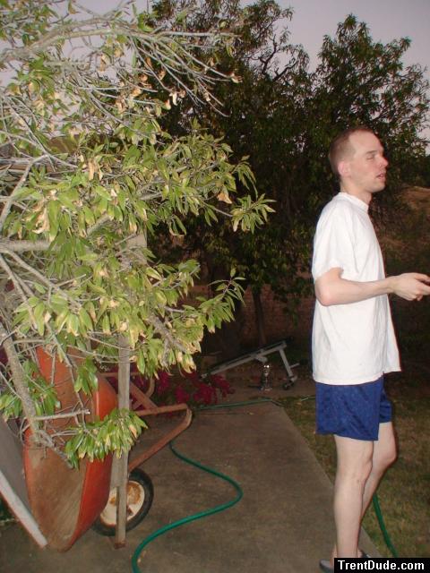 Blue checkered Umbro style soccer nylon shorts