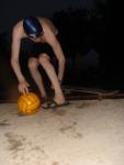 Skateboard and swim jammer