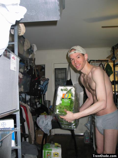 1 week of organic spinach