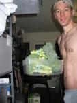 Brocolli