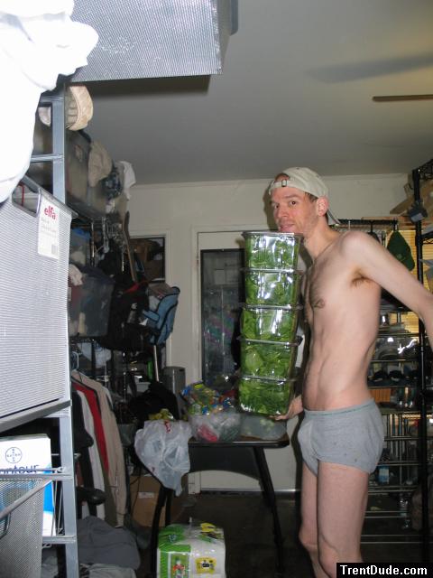 Organic spinach