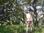 Leather loin cloth (rear)