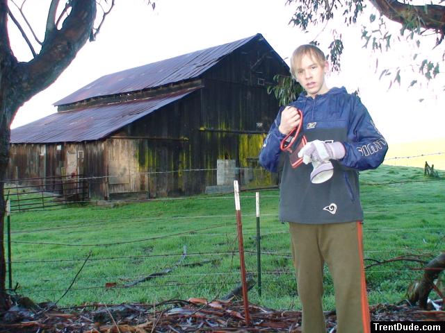 Looking out of place on a farm