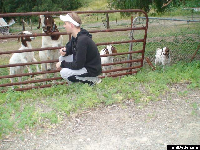 Having a long chat