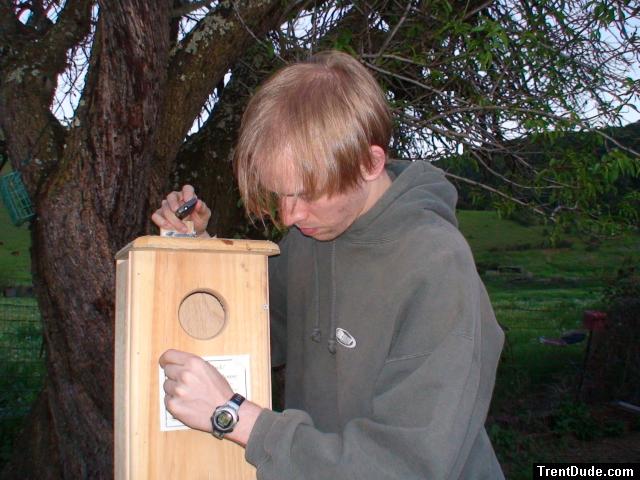 Trent putting up a owl house