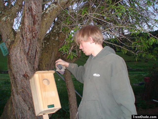 Trent putting up a owl house