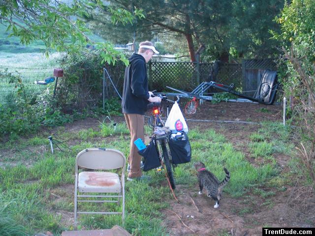 cat and bike