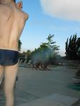 Swimmer showing body  in a blue speedo brief (rear)