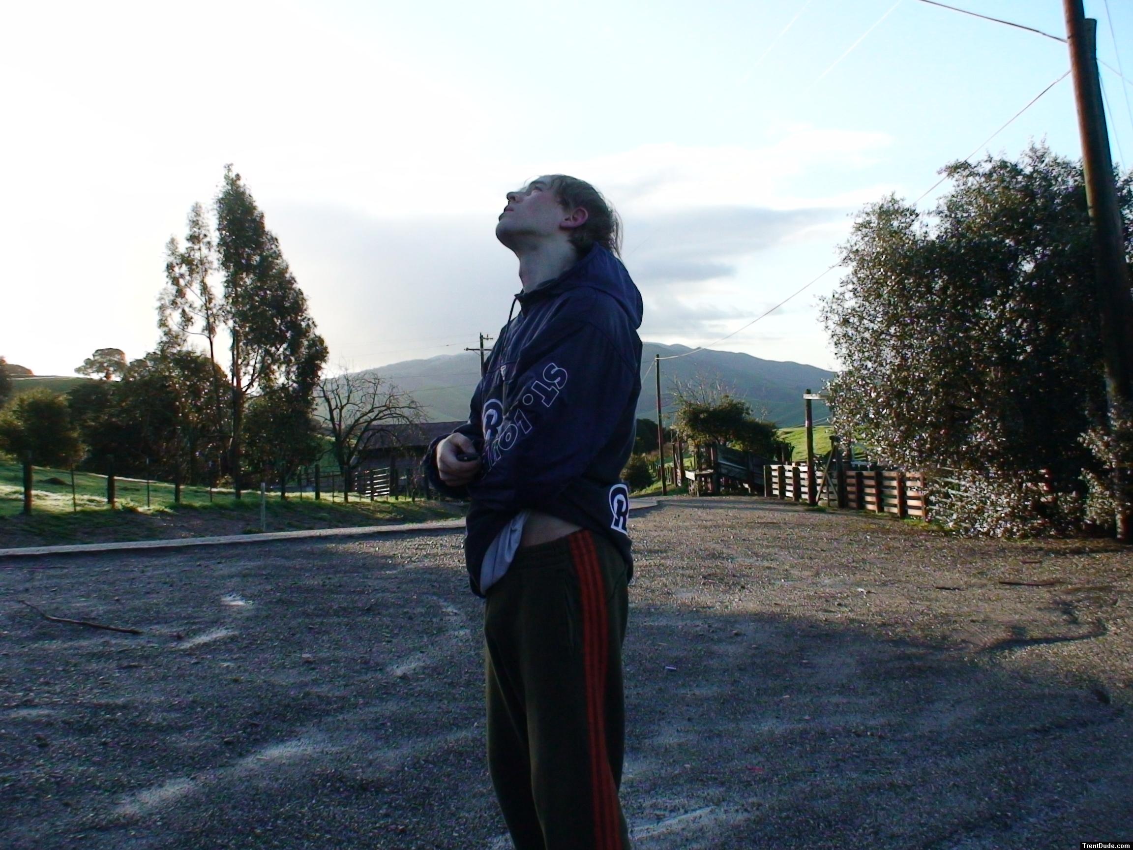 did a bird just poop on me?