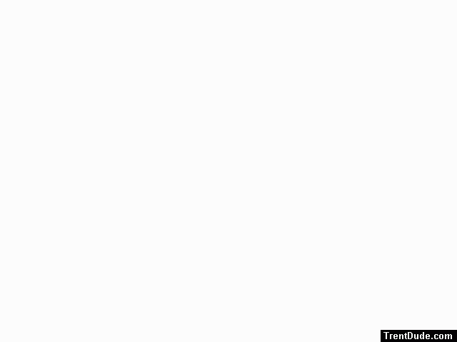 new1.gif
