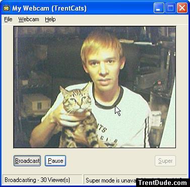 Giants shirt and cat