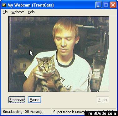 Giants shirt abd cat